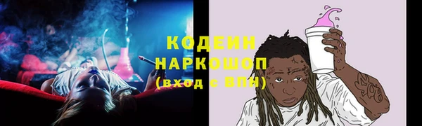крисы Армянск