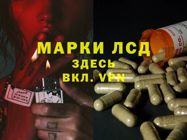 крисы Армянск