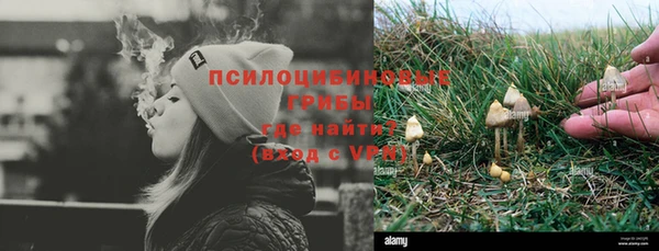 крисы Армянск