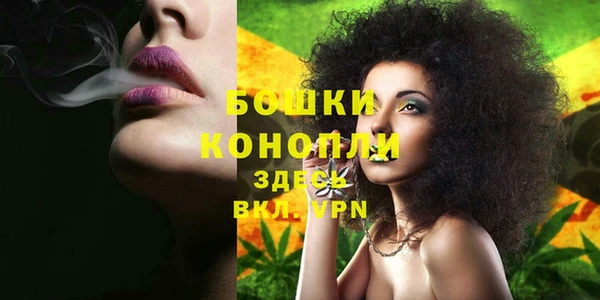 mdpv Арсеньев