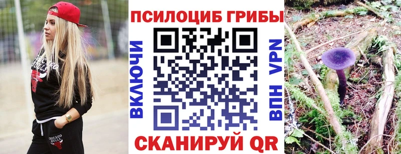 Псилоцибиновые грибы Psilocybe  Россошь 