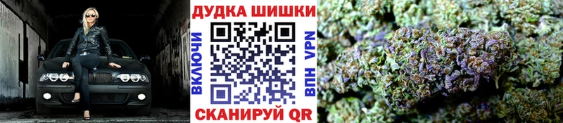 Бошки марихуана планчик  наркота  Россошь 